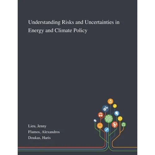 Understanding Risks and Uncertainties in Energy and Climate Policy