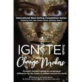 Ignite Female Change Makers: Dynamic Women Making an Exceptional Difference for the Future of Women Around the World