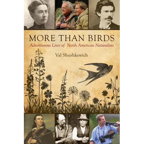 More Than Birds: Adventurous Lives of North American Naturalists - Paperback