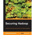 Securing Hadoop