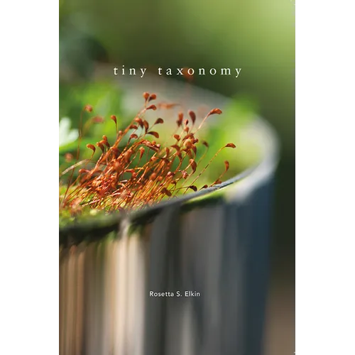 Tiny Taxonomy: Individual Plants in Landscape Architecture