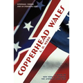 Copperhead Wales: A Novel of New York City During the American Civil War