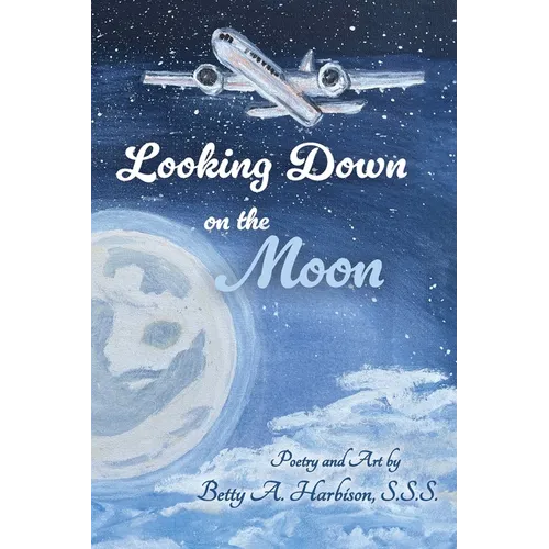 Looking down on the Moon