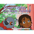 Where's Pidgy the Baby Pigeon?