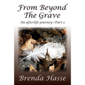 From Beyond The Grave: An afterlife journey Part 2