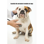 Essential Oils and Natural Remedies for Dogs: Comprehensive Guide To Keep Your Dog Healthy