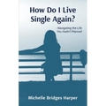 How Do I Live Single Again?: Navigating the life you hadn't planned