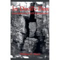 In Devil's Den Journals of a Park Interpreter