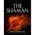 The Practical Shaman