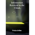 Information Retrieval in the Cloud: Architecting Scalable Search Solutions for Big Data Environments