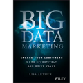 Big Data Marketing