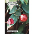 More Than the Eyes: Art, Food and the Senses
