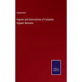 Figures and Descriptions of Canadian Organic Remains