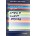 A Primer on Quantum Computing