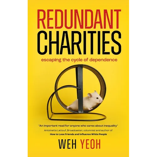 Redundant Charities: Escaping the cycle of dependence