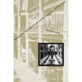 Museums and American Intellectual Life, 1876-1926