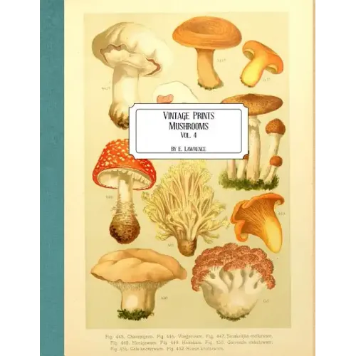 Vintage Prints: Mushrooms: Vol. 4