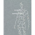 Antony Gormley: Survey