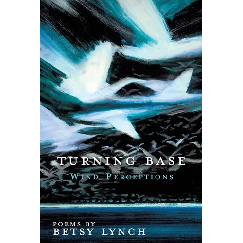 Turning Base Wind Perceptions