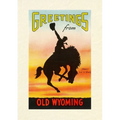 Vintage Lined Notebook Greetings from Old Wyoming, Bronco