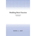 Modelling Brain Function: The World of Attractor Neural Networks