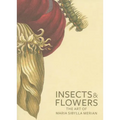 Insects and Flowers: The Art of Maria Sibylla Merian