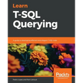 Learn T-SQL Querying: A guide to developing efficient and elegant T-SQL code