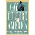 Gay Culture in America: Essays from the Field