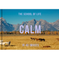Calm in 40 Images: The Art of Finding Serenity