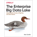 The Enterprise Big Data Lake: Delivering the Promise of Big Data and Data Science