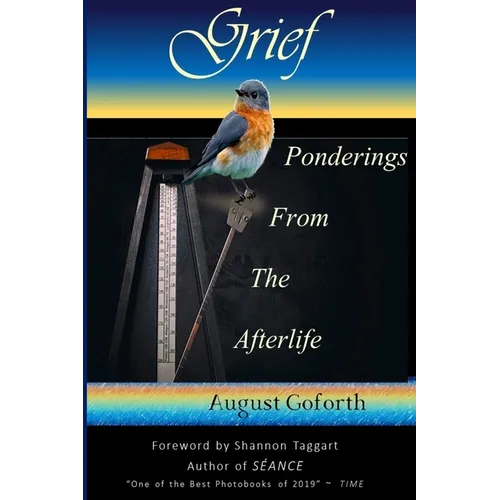 Grief: Ponderings From The Afterlife