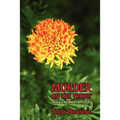 Murder on the Tropic (a Hugh Rennert Mystery)