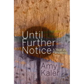 Until Further Notice: A Year in Pandemic Time