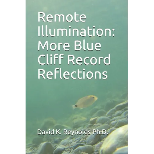 Remote Illumination: More Blue Cliff Record Reflections