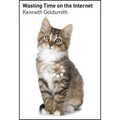 Wasting Time on the Internet