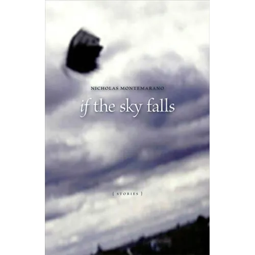 If the Sky Falls: Stories