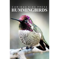 Hummingbirds - Curious Kids Press: Kids book about animals and wildlife, Children's books 4-6
