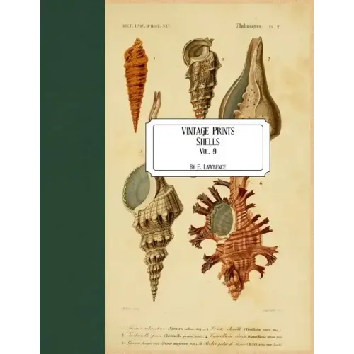Vintage Prints: Shells: Vol. 9