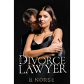 The Divorce Lawyer