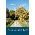 Lawyer Lincoln In Transit To Freedom: An historical nonfiction novel