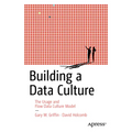Building a Data Culture: The Usage and Flow Data Culture Model