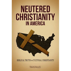 Neutered Christianity in America - Paperback