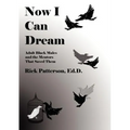 Now I Can Dream: Adult Black Males and the Mentors That Saved Them