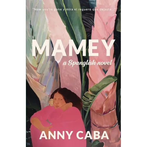 Mamey: a Spanglish Novel