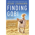 Finding Gobi: A Little Dog with a Very Big Heart