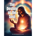 The Destiny of the Soul, Vol VI