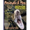 Animals & Men #50