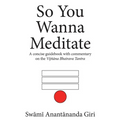 So You Wanna Meditate: A concise guidebook with commentary on the Vijnana Bhairava Tantra