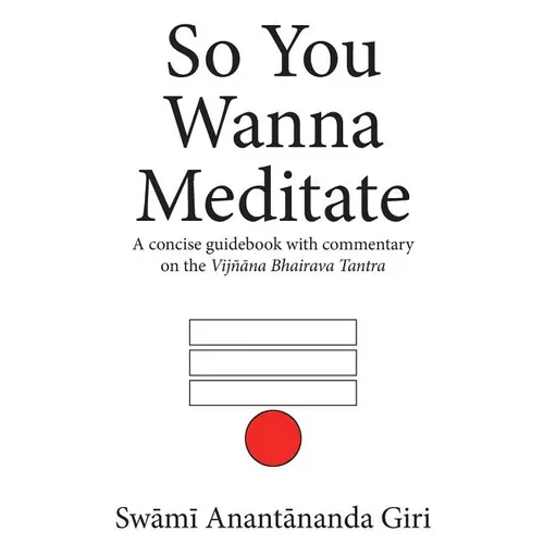 So You Wanna Meditate: A concise guidebook with commentary on the Vijnana Bhairava Tantra