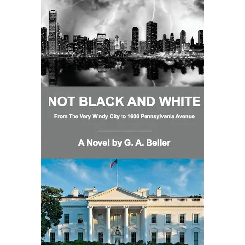 Not Black and White: From The Very Windy City to 1600 Pennsylvania Avenue